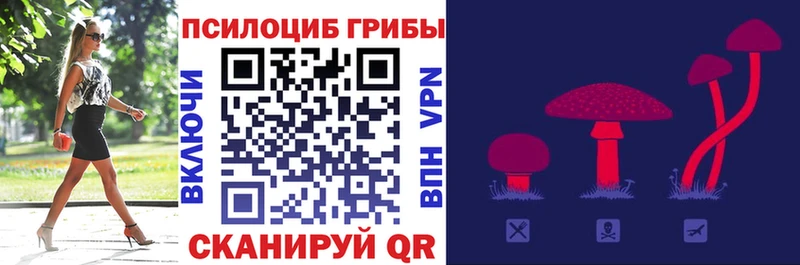 Псилоцибиновые грибы Psilocybe Сретенск